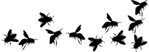 10-alle-bijen-op-een-rijtje-web